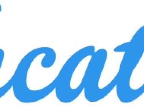 Vacatia Leadership Team